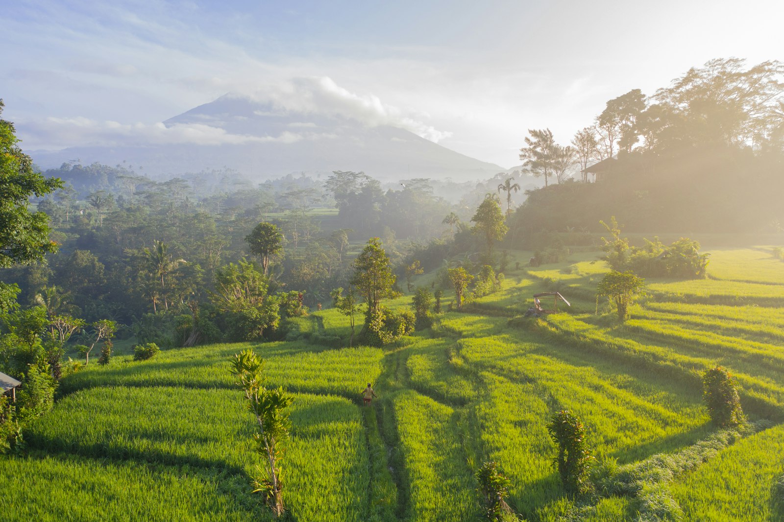 Bali Weather: A Complete Month-by-Month Guide (2026)