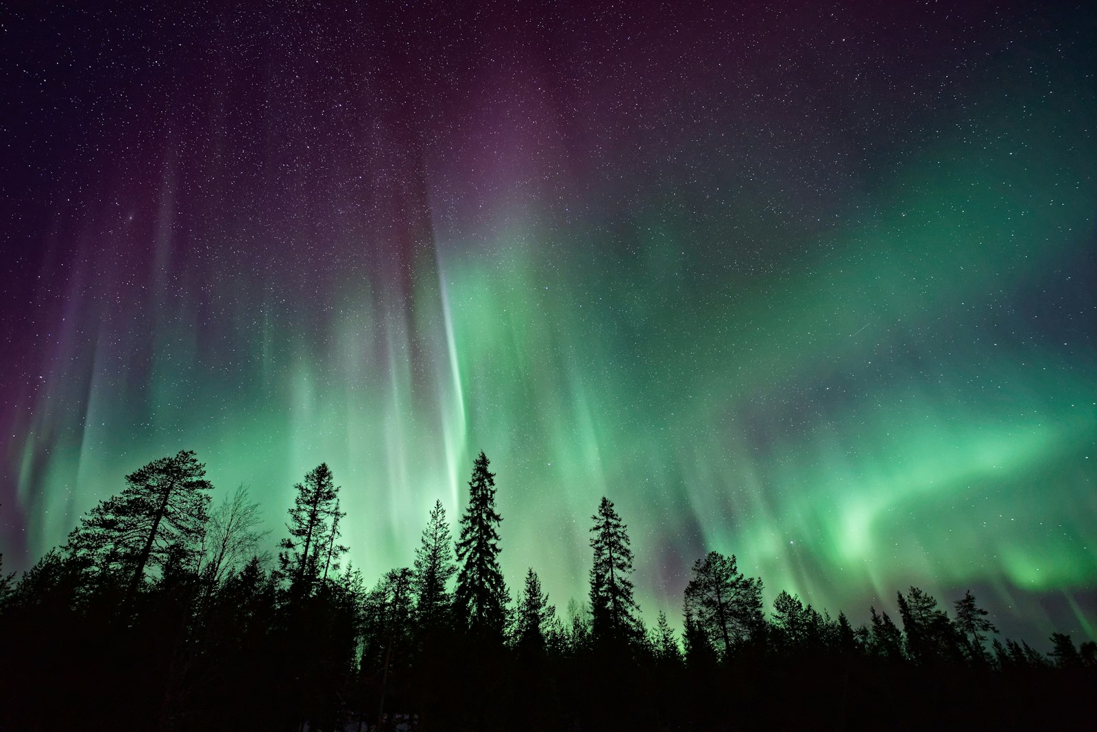 Best Time to Visit Iceland: Northern Lights, Weather & More