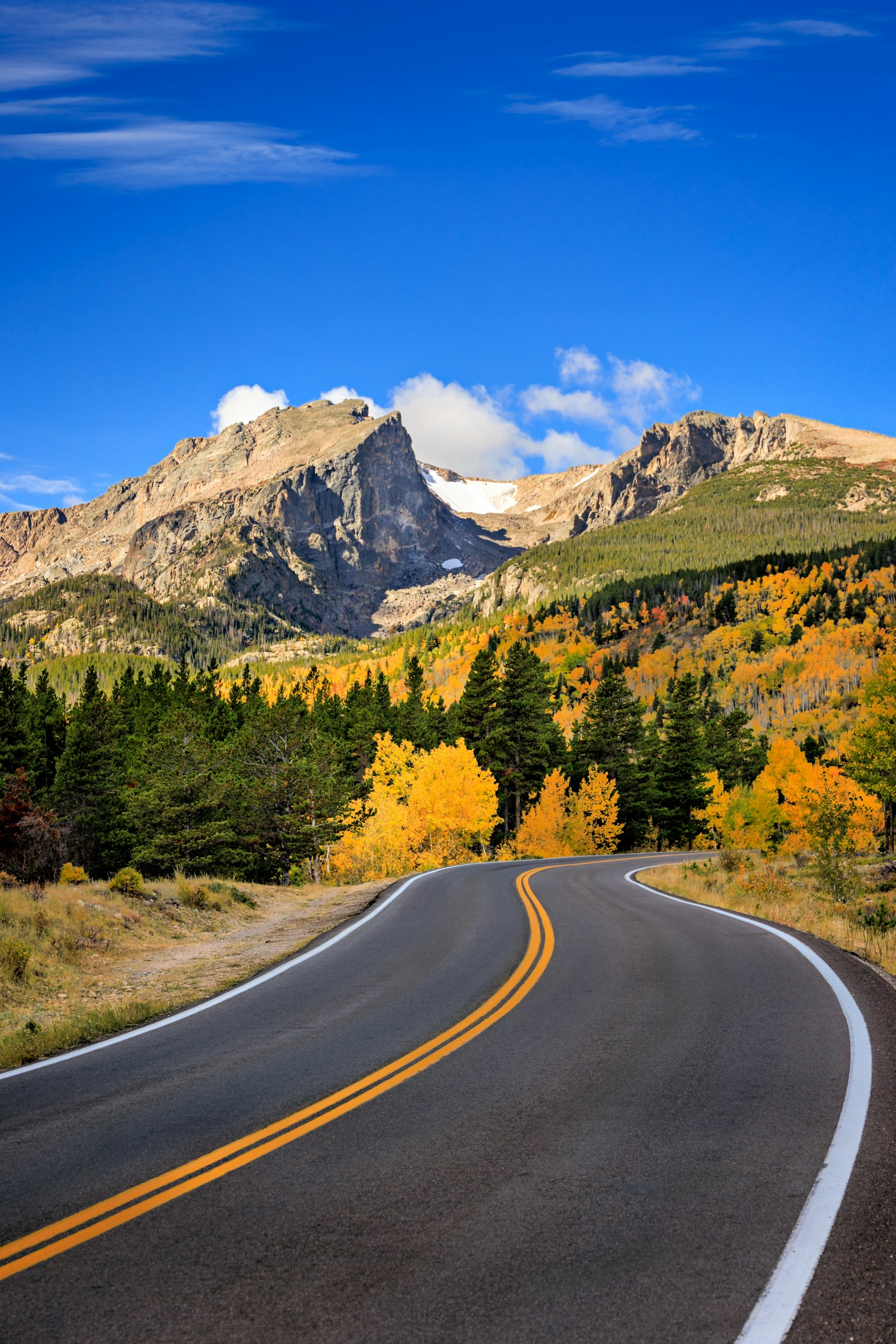 Aspen