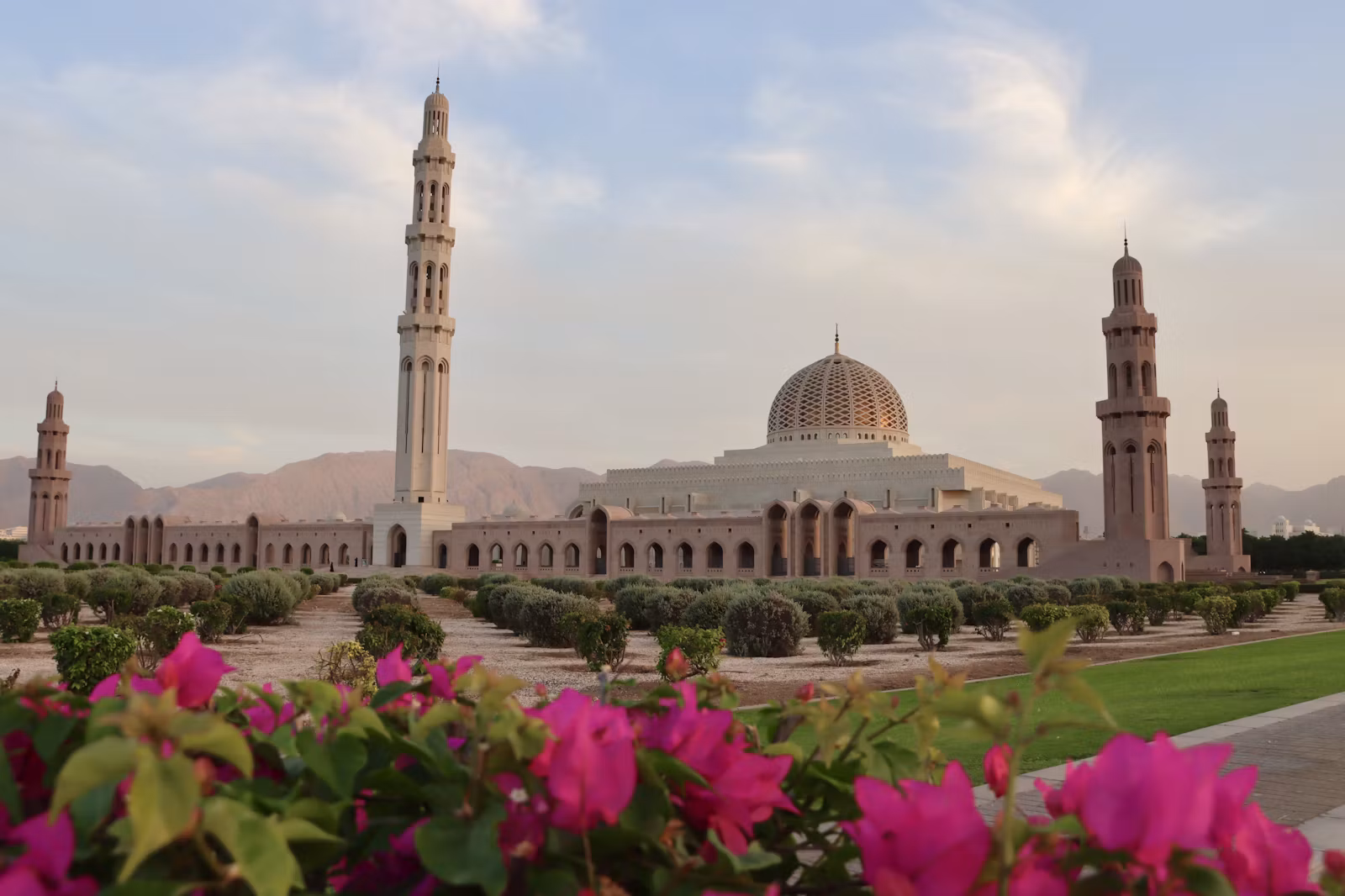 Muscat