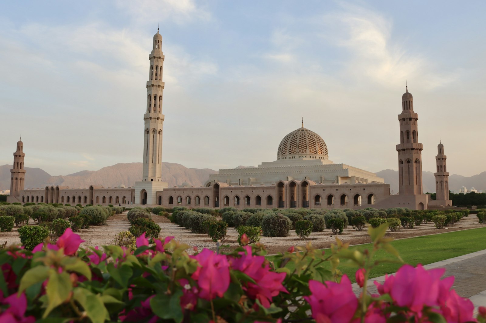 Muscat